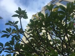 -喜来登健身中心