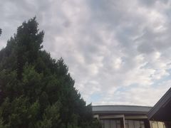 -北京云瑧金陵莲花酒店·莲·川小馆