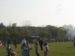 -昆山城市生态森林公园