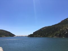 -招虎山国家森林公园-售票处