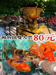 -酷嗒动物文化乐园(cutezoo西溪乐天城店)