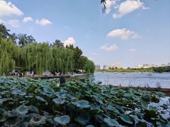 -济南大明湖景区
