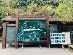 -姑婆山旅游区