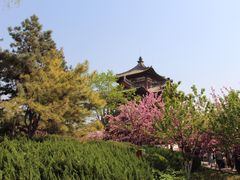 -西安青龙寺遗址景区