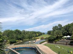 -涛·海底餐厅·美人鱼·自助餐·海底隧道(三亚海棠湾洲际度假酒店)