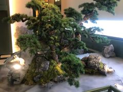 -潮上潮(南中环店)