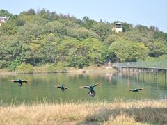-万佛湖风景区