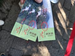 -杭州半山国家森林公园