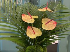 -南堂馆·新川菜(春熙路店)