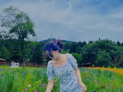 -武陵山森林公园