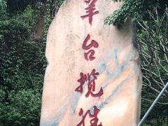 -阳台山森林公园