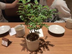 -CURRY YA 熟成咖哩專門店(深圳湾万象城店)