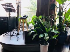 -斯比特花园意大利餐厅(缤谷广场店)