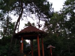 -唐风温泉