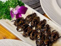 -美未居·老字号·地道顺德菜·桑拿鸡·鱼生(容桂店)