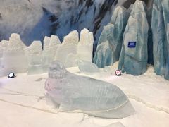 -长沙湘江冰雪世界