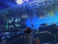 -华夏文旅海洋公园