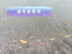 -湖光岩风景区