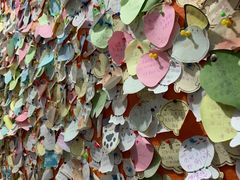 -HONGA HONGA雄家(曹路店)