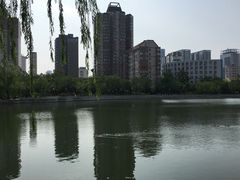 -迎泽公园