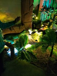 -恐龙探索乐园(磁器口店)