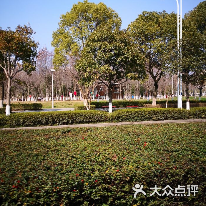 方洲公园图片-北京公园-大众点评网