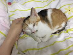 -联合动物医院(光谷诊疗中心)