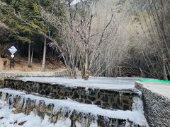 -卡定沟景区