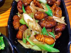 烤蚕蛹-丹东特色烤肉(学府路一部店)