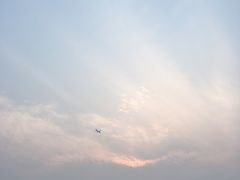 -春花秋色城市公园