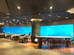 大堂-海棠湾洲际-涛·海底餐厅·美人鱼·自助餐·海底隧道