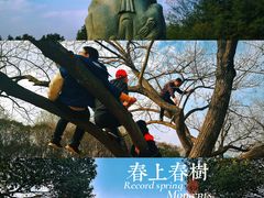 -南京市江宁方山