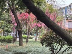 -天天足道(紫荆店)