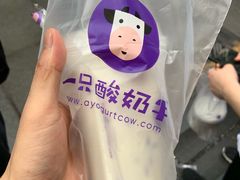 -一只酸奶牛(八一路店)