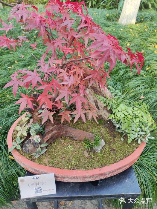 杭州城北体育公园图片