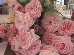 -北京张裕爱斐堡酒庄