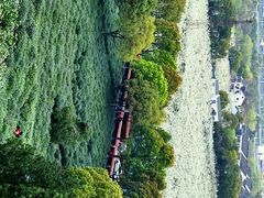 -树山生态村