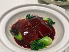 -蝶园·装修中(BFC外滩金融中心店)