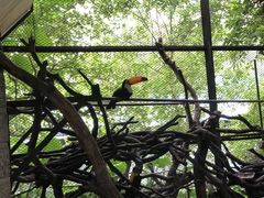 -深圳野生动物园