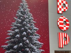 -溪岸路花鸟市场