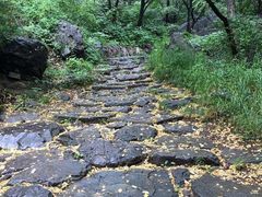 -阳台山自然风景区