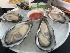 -Oyster Talks 四度蚝法餐厅
