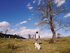 -硗碛藏寨·神木垒景区