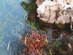-水磨沟公园