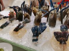 -海晖酒楼·顺德鱼生(荣华店)