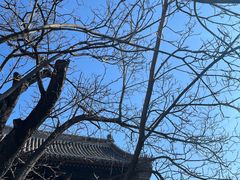 -北京索菲特大酒店