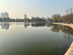 -泰丰公园