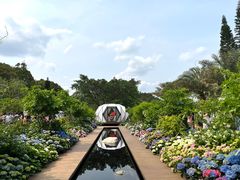 -深圳仙湖植物园