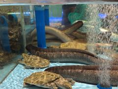-阿伟海鲜楼·福建菜(延寿店)