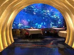 -迪拜帆船酒店海底餐厅